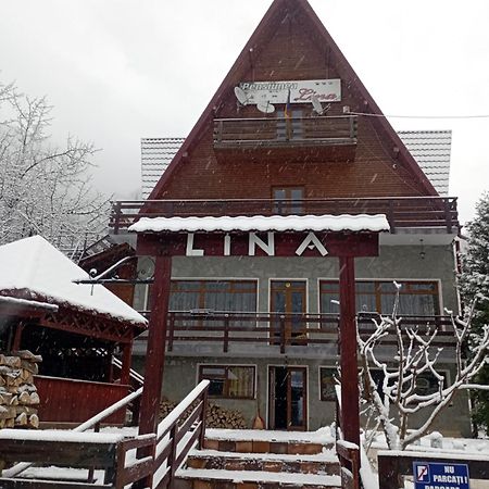 Pensiunea Lina Lepşa المظهر الخارجي الصورة